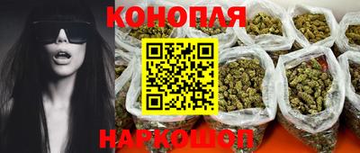 крисы Шахты
