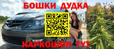 крисы Шахты