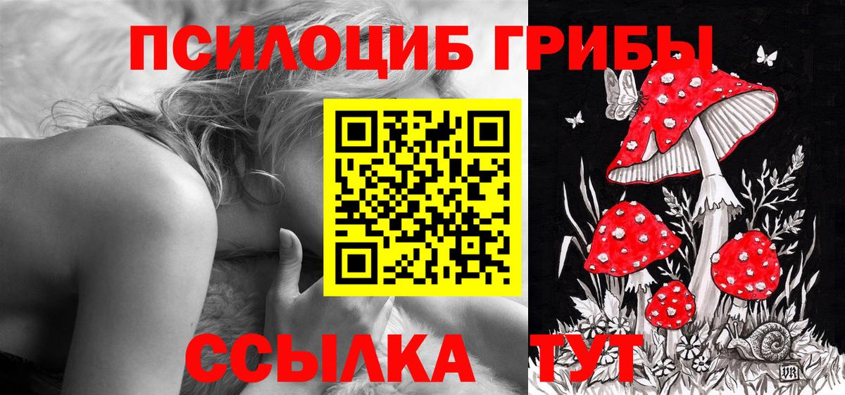 Галлюциногенные грибы Psilocybine cubensis Амурск